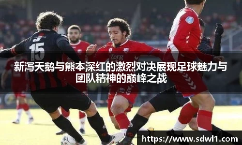 新泻天鹅与熊本深红的激烈对决展现足球魅力与团队精神的巅峰之战