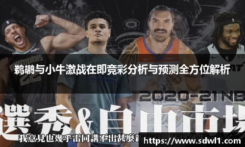 鑫彩网