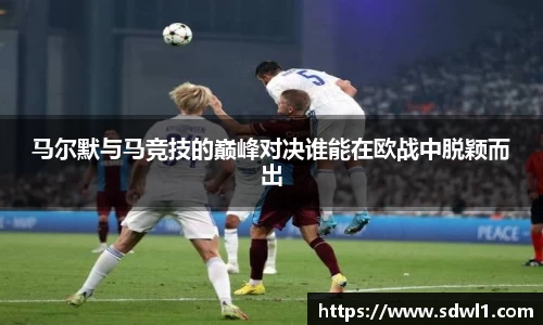 鑫彩网平台